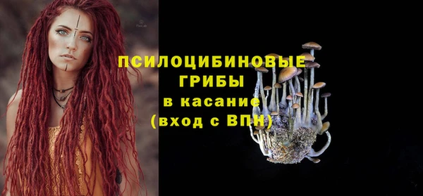прущая мука Каменка