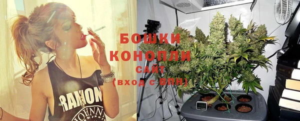прущая мука Каменка