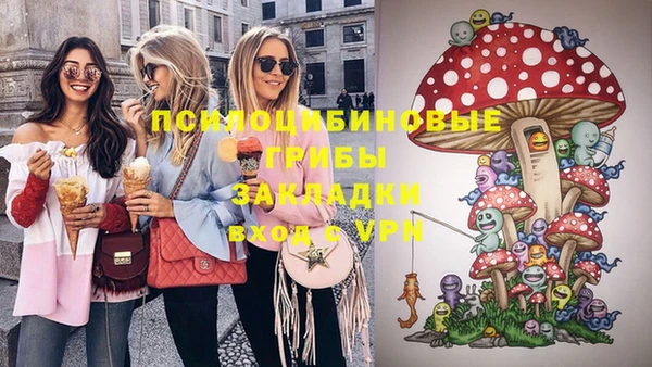 шишки Каменск-Шахтинский