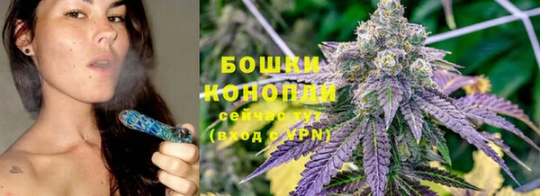 прущая мука Каменка