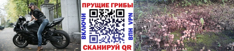 Галлюциногенные грибы мухоморы Купить где Кунгур