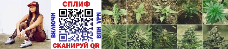 Купить  Кунгур  Бошки марихуана Ganja 